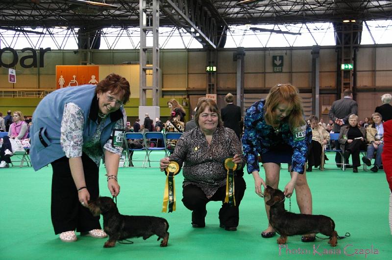 Crufts2011_2 957.jpg